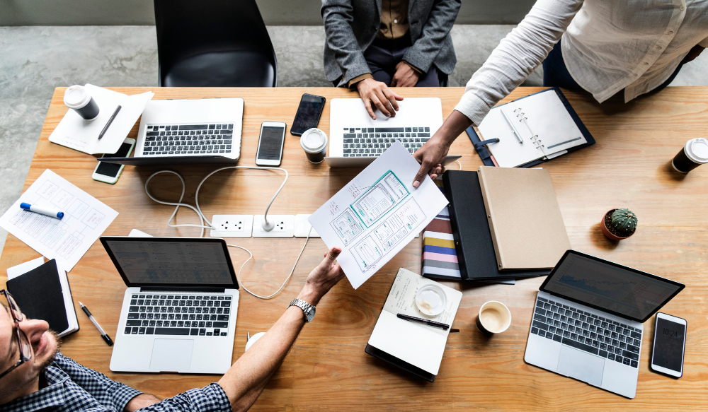 Professional software development team